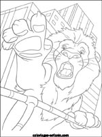 Coloriages de lions