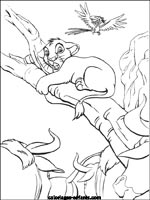 Coloriages de lions