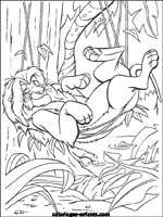 Coloriages de lions