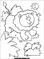 Coloriages de lions