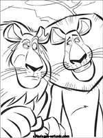 Coloriages de lions