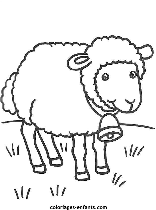 coloriage d'animaux - dessin de mouton  colorier