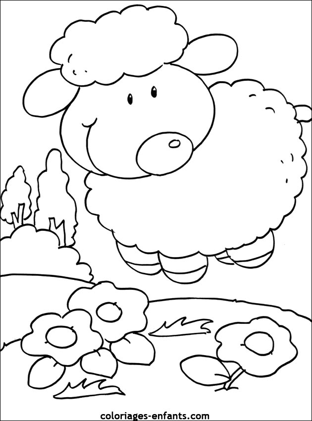 coloriage d'animaux - dessin de mouton  colorier