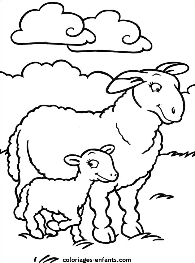 coloriage d'animaux - dessin de mouton  colorier
