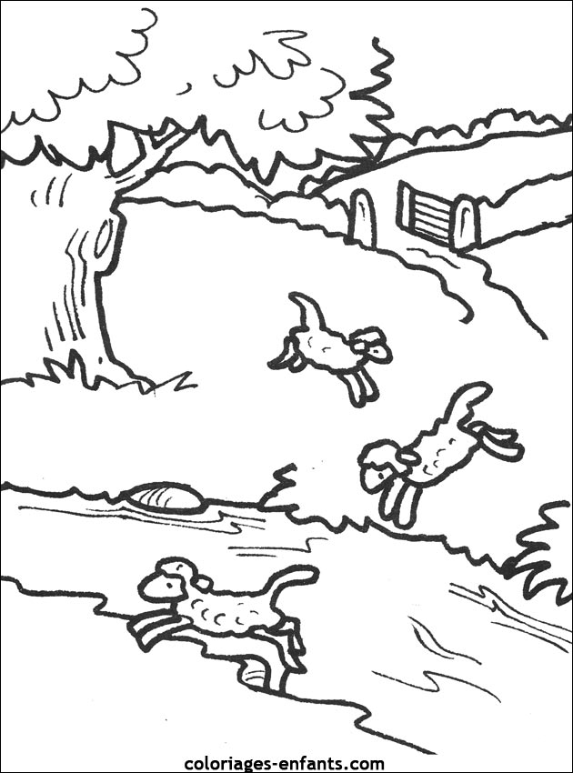 coloriage d'animaux - dessin de mouton  colorier