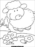 Coloriages de moutons