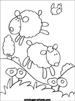 Coloriages de moutons