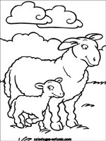 Coloriages de moutons