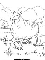 Coloriages de moutons