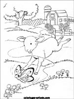 Coloriages de moutons