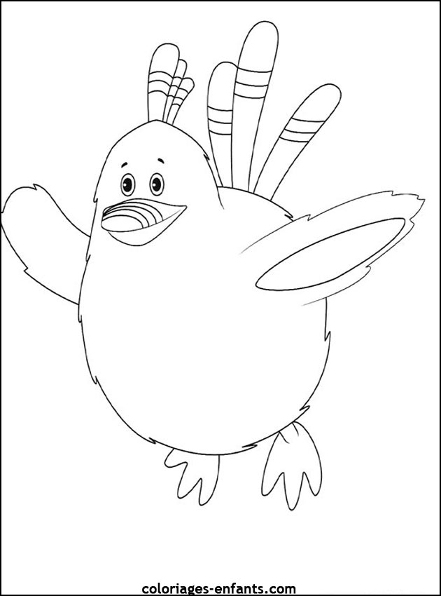 coloriage d'oiseaux - dessin  colorier d'animaux