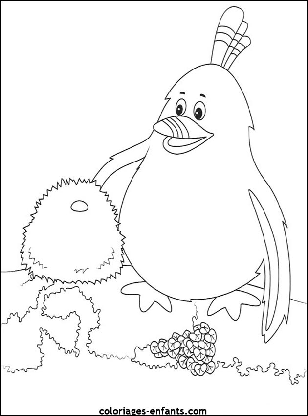 coloriage d'oiseaux - dessin  colorier d'animaux