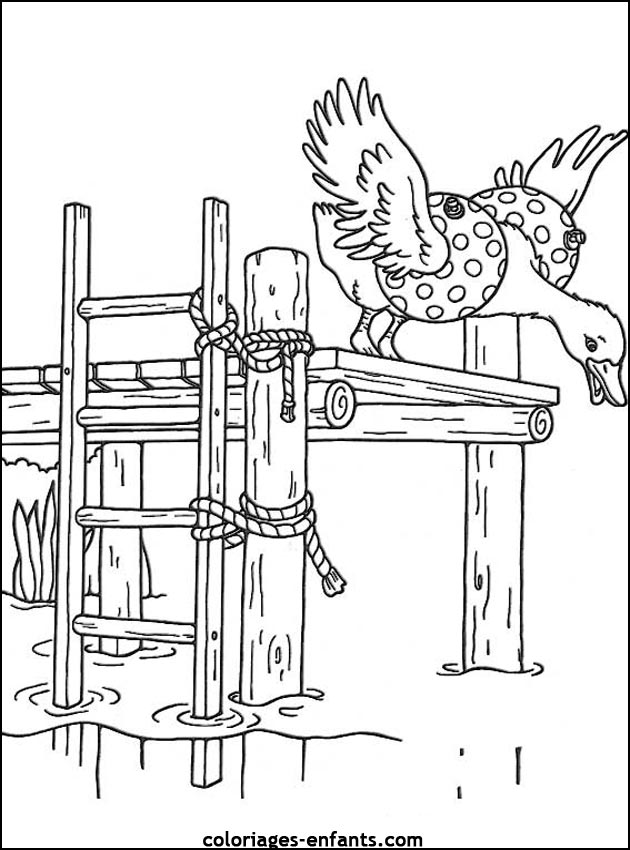 coloriage d'oiseaux - dessin  colorier d'animaux