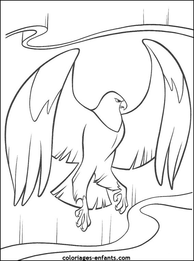 coloriage d'oiseaux - dessin  colorier d'animaux