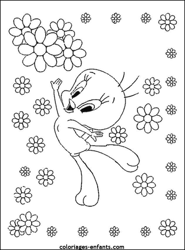 coloriage d'oiseaux - dessin  colorier d'animaux