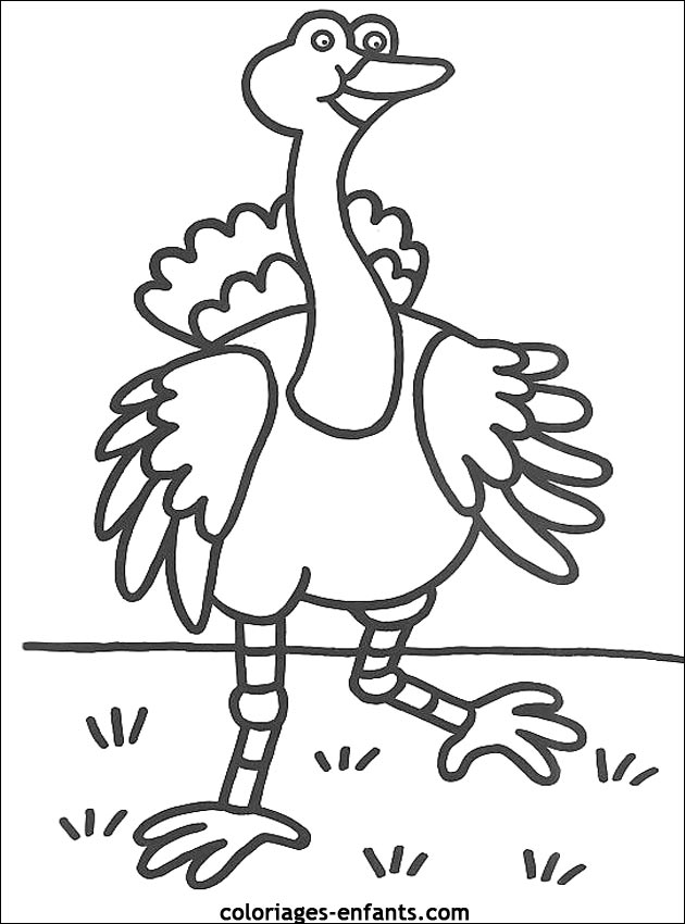 coloriage d'oiseaux - dessin  colorier d'animaux