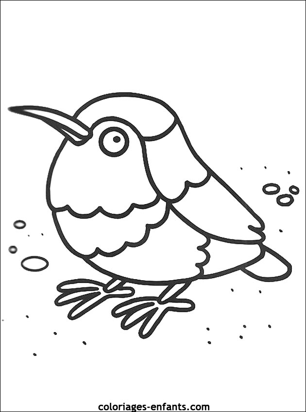 coloriage d'oiseaux - dessin  colorier d'animaux