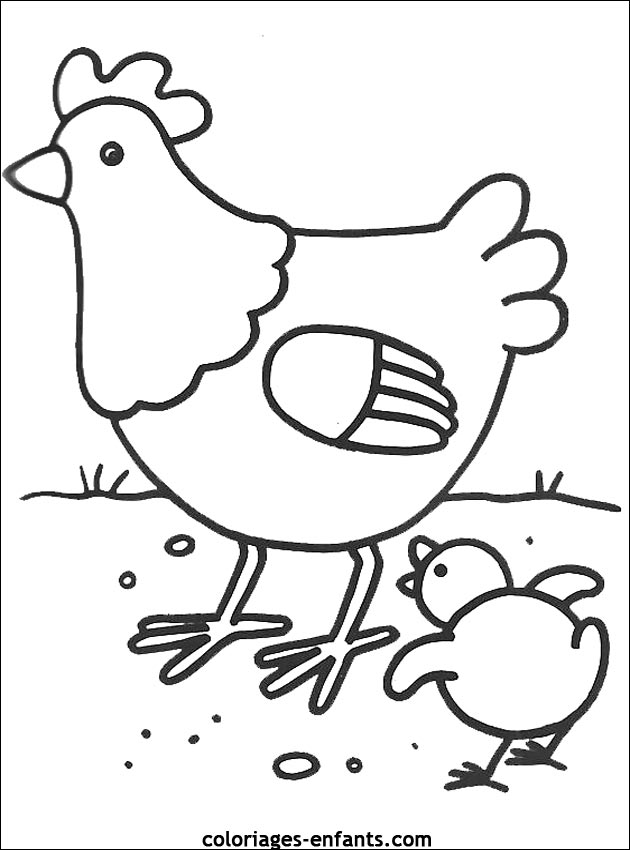 coloriage d'oiseaux - dessin  colorier d'animaux