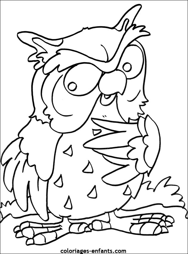 coloriage d'oiseaux - dessin  colorier d'animaux