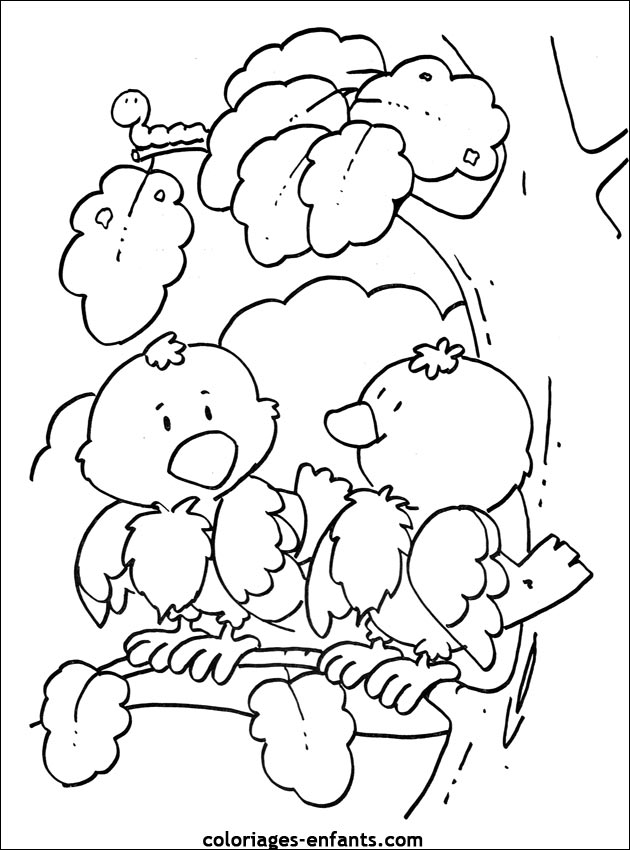 coloriage d'oiseaux - dessin  colorier d'animaux