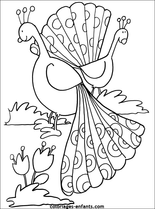 coloriage d'oiseaux - dessin  colorier d'animaux