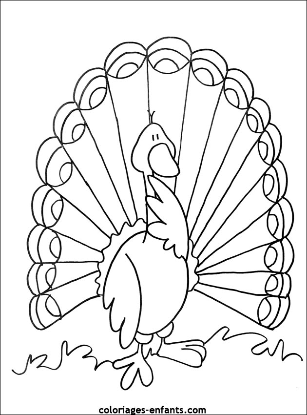 coloriage d'oiseaux - dessin  colorier d'animaux