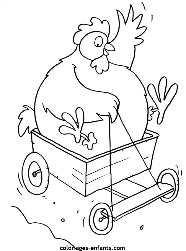 coloriage d'oiseaux - dessin  colorier d'animaux