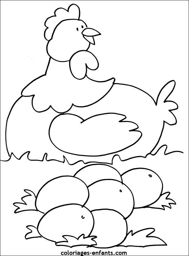 coloriage d'oiseaux - dessin  colorier d'animaux