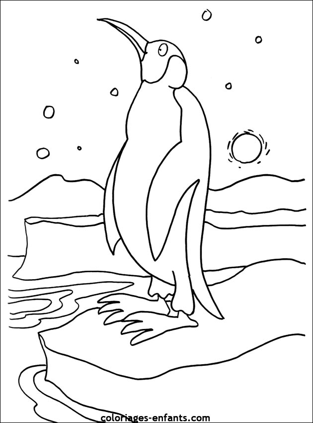 coloriage d'oiseaux - dessin  colorier d'animaux