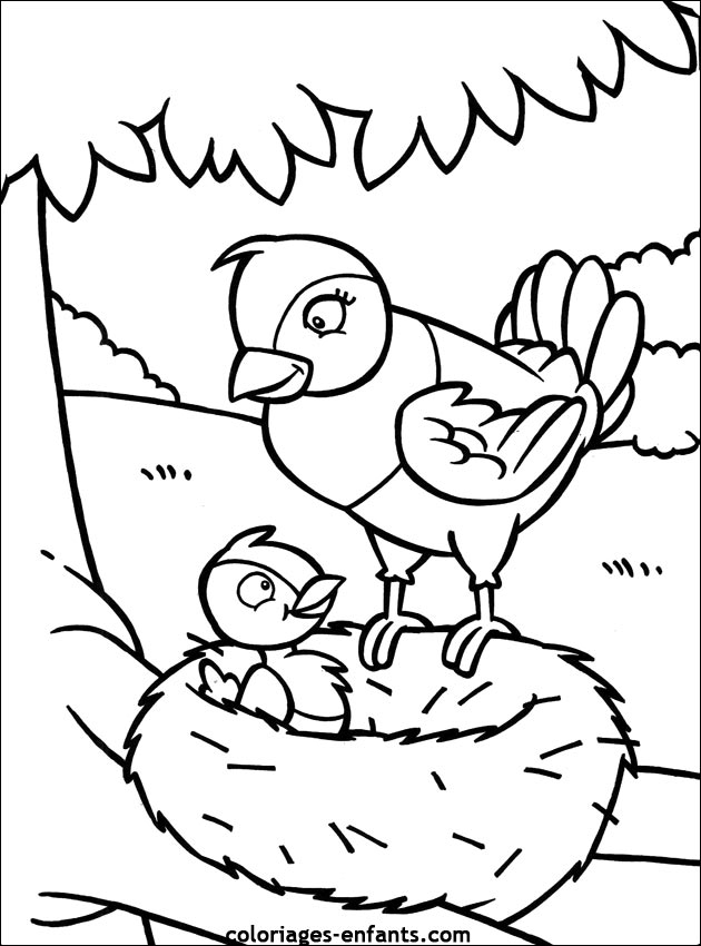 coloriage d'oiseaux - dessin  colorier d'animaux