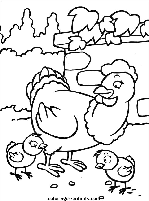 coloriage d'oiseaux - dessin  colorier d'animaux