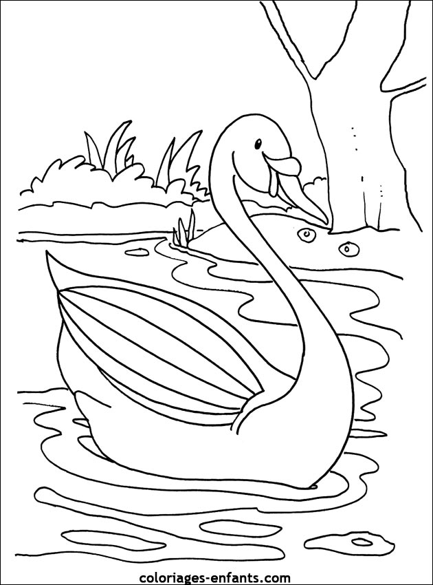 coloriage d'oiseaux - dessin  colorier d'animaux