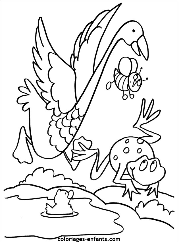 coloriage d'oiseaux - dessin  colorier d'animaux