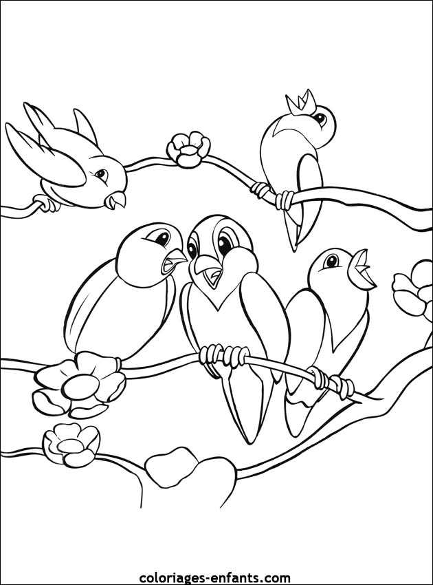 coloriage d'oiseaux - dessin  colorier d'animaux