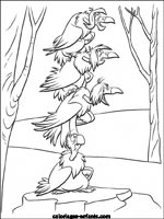 Coloriages d'oiseaux