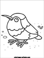 Coloriages d'oiseaux