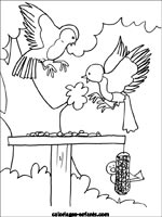 Coloriages d'oiseaux