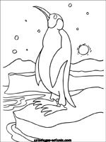 Coloriages d'oiseaux