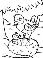 Coloriages d'oiseaux