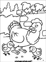 Coloriages d'oiseaux