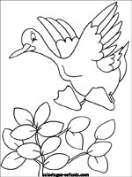 Coloriages d'oiseaux