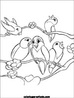 Coloriages d'oiseaux