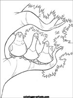 Coloriages d'oiseaux