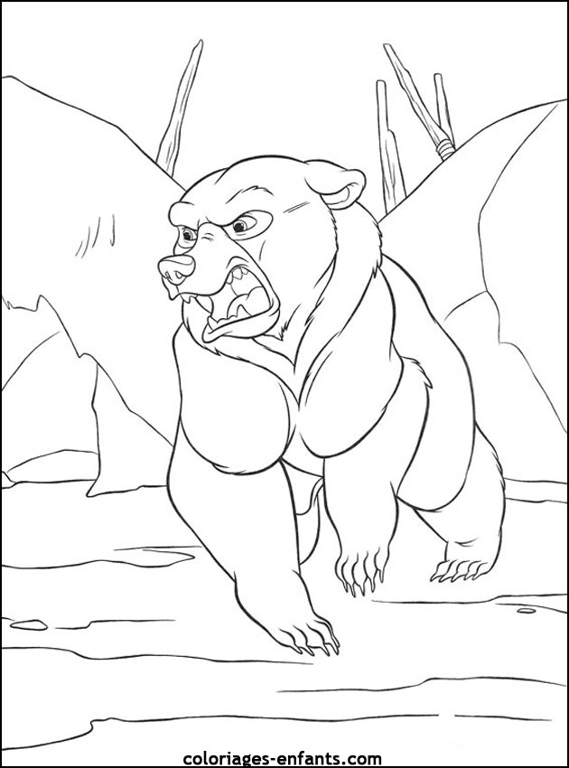 coloriage d'animaux - dessin d'ours  imprimer pour les enfants