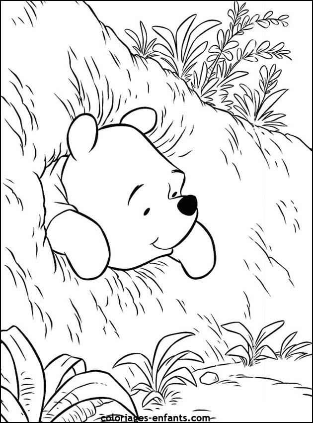 coloriage d'animaux - dessin d'ours  imprimer pour les enfants