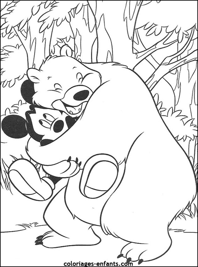 coloriage d'animaux - dessin d'ours  imprimer pour les enfants