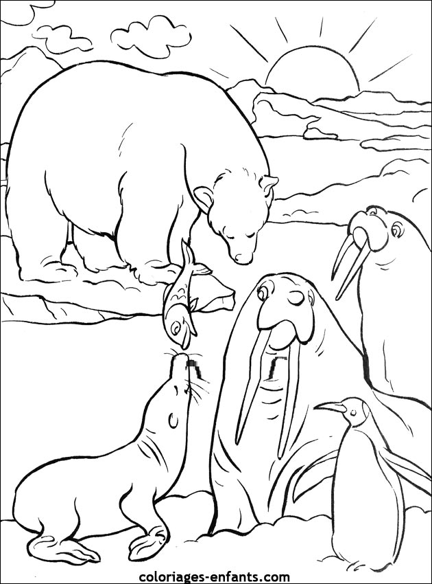 coloriage d'animaux - dessin d'ours  imprimer pour les enfants