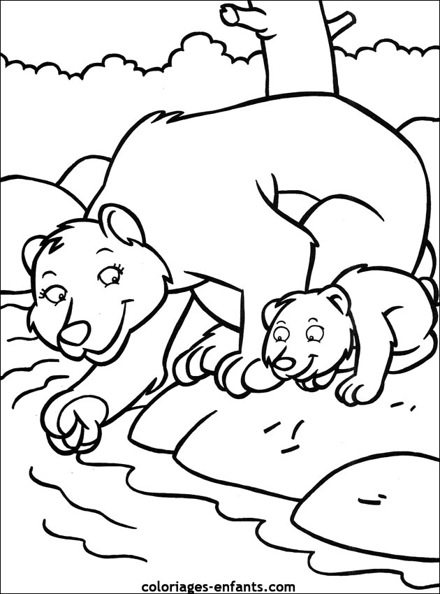 coloriage d'animaux - dessin d'ours  imprimer pour les enfants