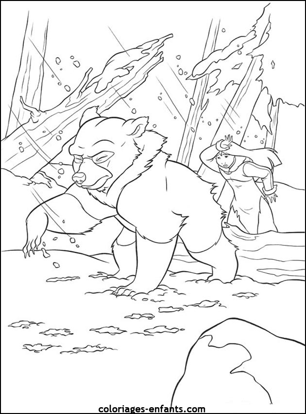 coloriage d'animaux - dessin d'ours  imprimer pour les enfants