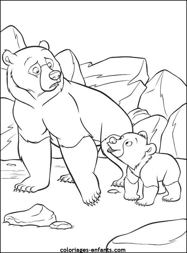 coloriage d'animaux - dessin d'ours  imprimer pour les enfants